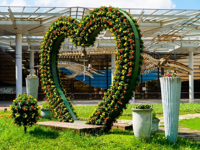 Heart-shaped floral arch and whale skeletons at Nagai Botanical Garden in Osaka