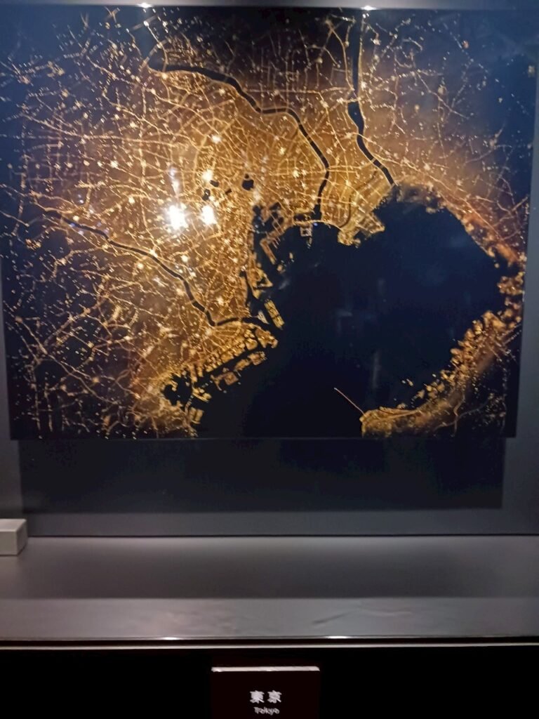 A lit-up city map of Tokyo resembling a satellite night view.