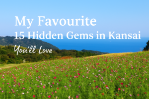 Colorful flower fields at Awaji Hanasajiki in Hyogo with ocean views—one of the most scenic hidden gems in Kansai.